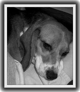 geoffreybw